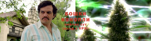 трава Зеленокумск