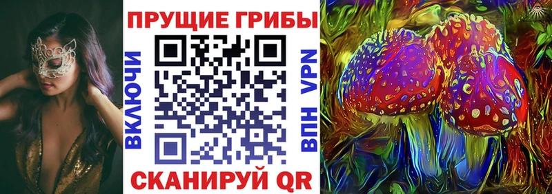 Купить  Дубна  Псилоцибиновые грибы Cubensis 