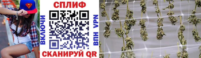 Шишки марихуана индика  Купить где  Дубна 